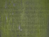 image of grave number 17366